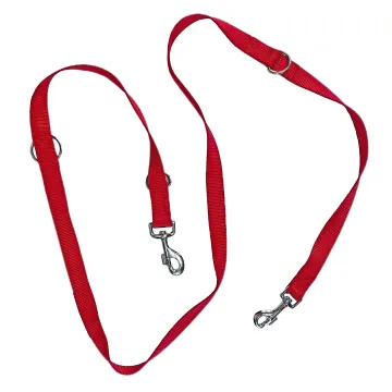 Custom nylon dog leash in multiple widths